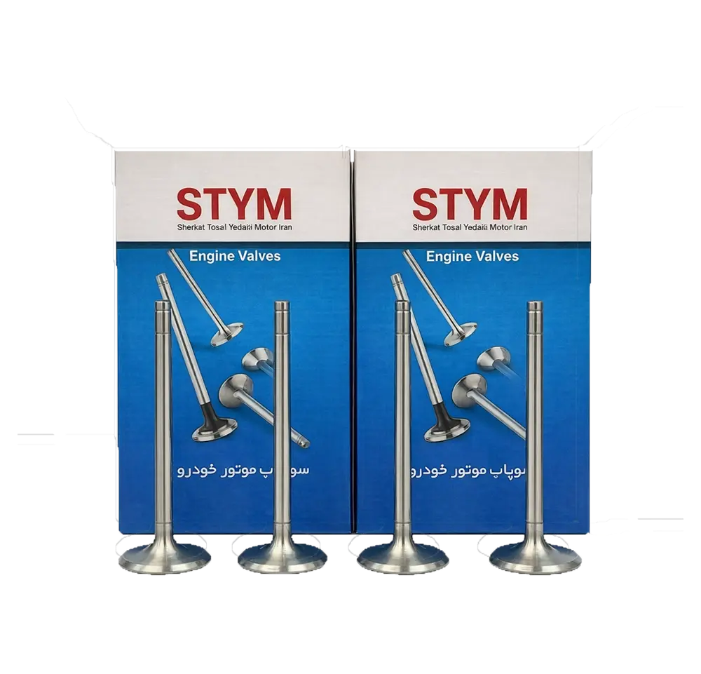 سوپاپ دود و هوا تعمیر اول فرگوسن نگیر ساوه STYM
